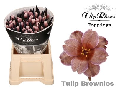 Bild på Tulpaner si Färgade Brownies