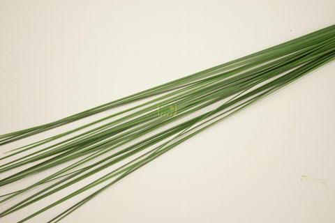 Bild på Stålgräs (Steelgrass) Bnt