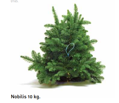 Bild på Nobilis (Gran) 10 kg/bnt