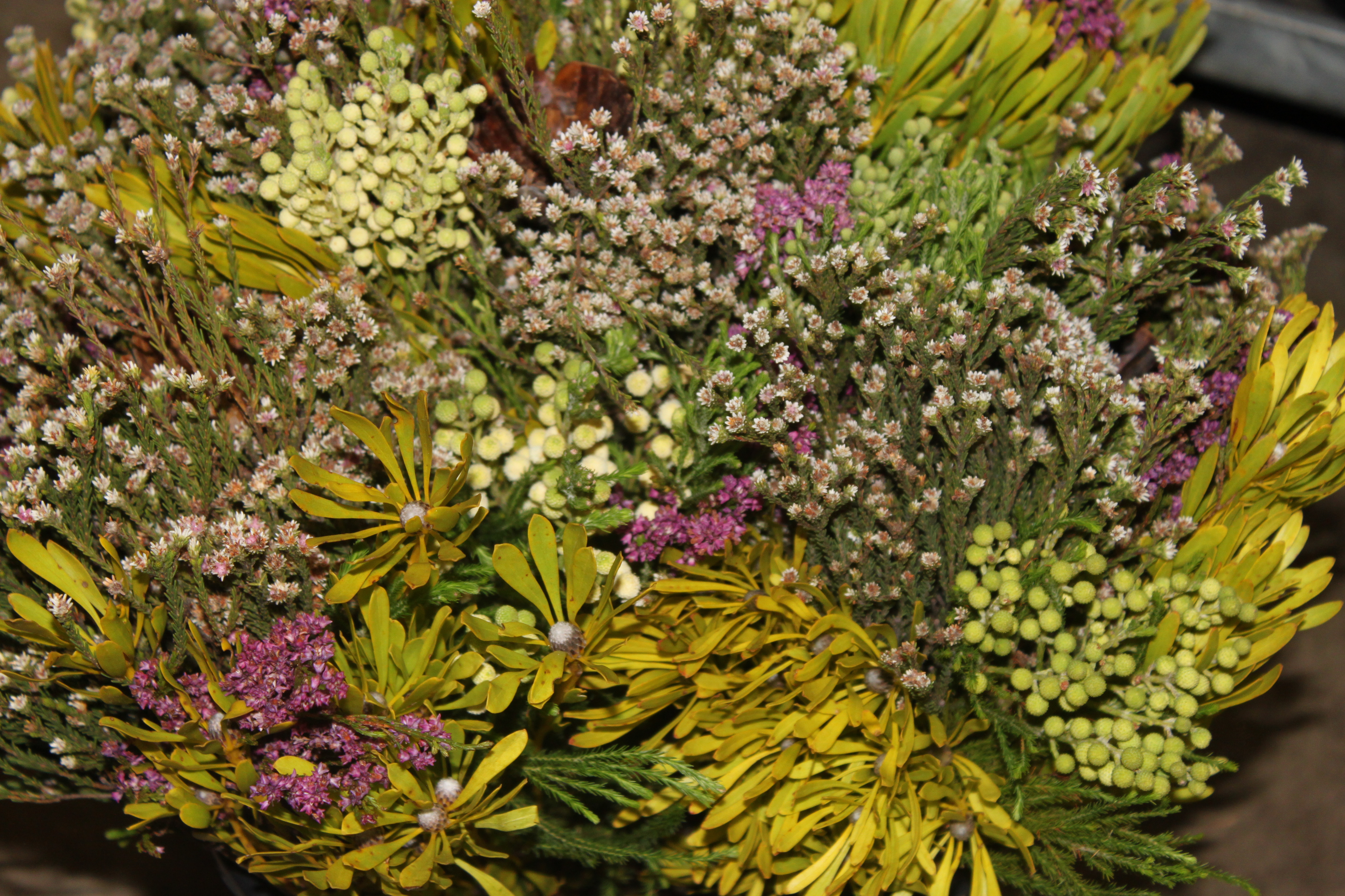 Bild på Protea Carousell-Bukett Rivermix