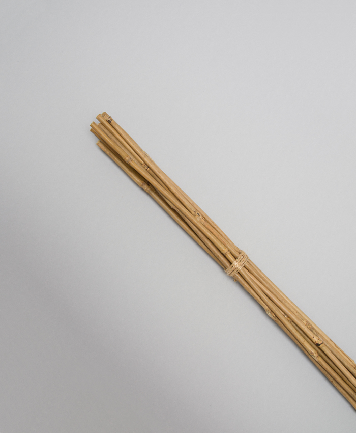 Bild på Blompinne Bambu 106cm 10st/fp