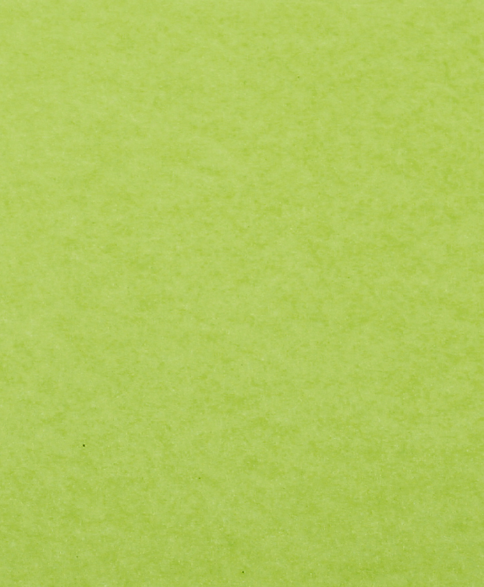 Bild på Blompapper Rulle Lime 57cm