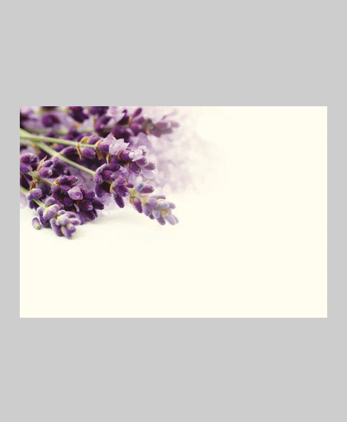 Bild på Kort 60-00119 Lavendel*9