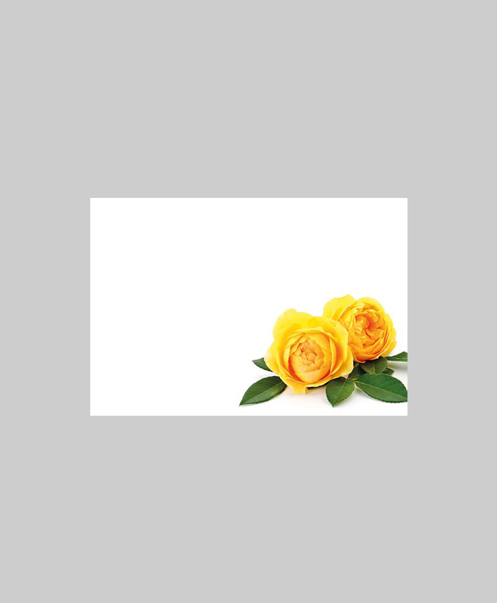 Bild på Kort 60-00304 Yellow Roses