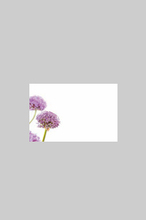 Bild på Kort 60-00169 Allium Lila 50st/fp
