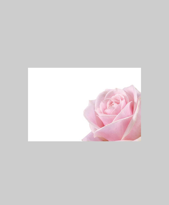 Bild på Kort Blomma Rosa 60-70018 9x6cm