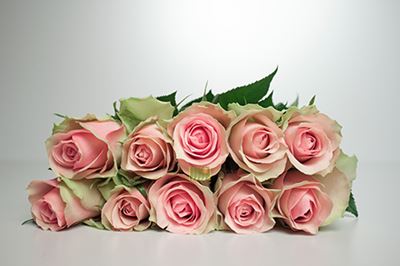 Bild på Belle Rose Florist Selection