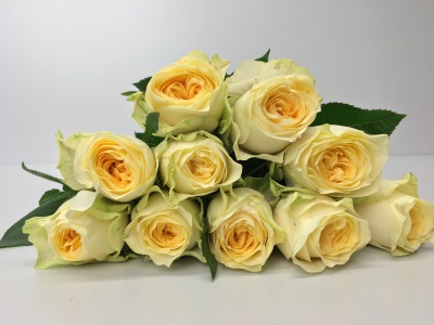 Bild på Buttercup Florist Selection