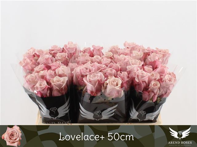 Bild på Lovelace