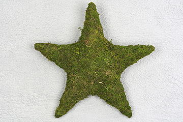 Bild på Mossstjärna 35x35x7cm x 6 st