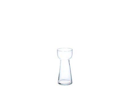 Bild på Hyacint Glas d 8 h 18 Cm 24/Fpn