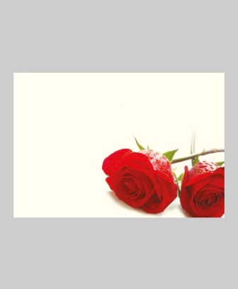 Bild på Blomsterkort Mellan Röd Ros 9/Fpn