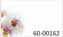 Bild på Blomsterkort Med Vit Orchide 50/Fpn