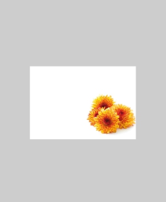 Bild på Blomsterkort Chrysantemum Orange 50/Fpn