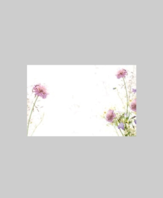Bild på Blomsterkort Sommarblommor 50/Fpn