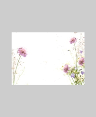 Bild på Blomsterkort Med Sommarblommor 9/Fpn