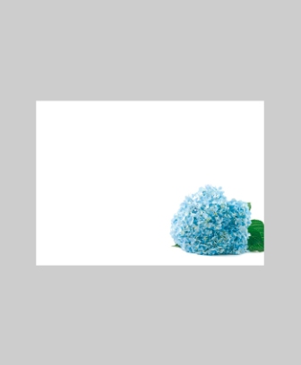 Bild på Blomsterkort Med Blå Hortensia 9/Fpn