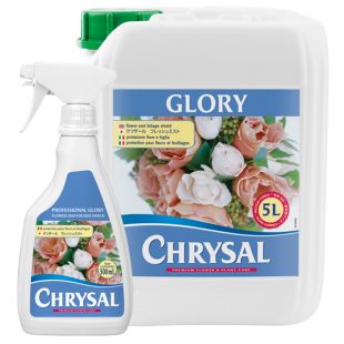 Bild på Chrysal Professional Glory 5 Liter l x 1