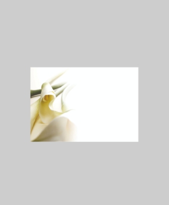 Bild på Blomsterkort Med Calla 50/Fpn