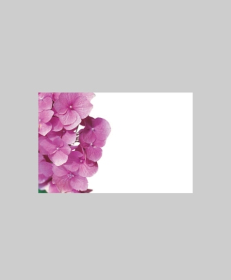 Bild på Blomsterkort Med Hortensia 50/Fpn
