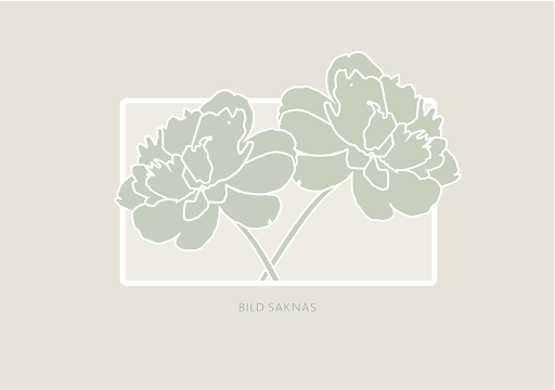 Bild på Kalanchoe Calandiva D10,5 X 10