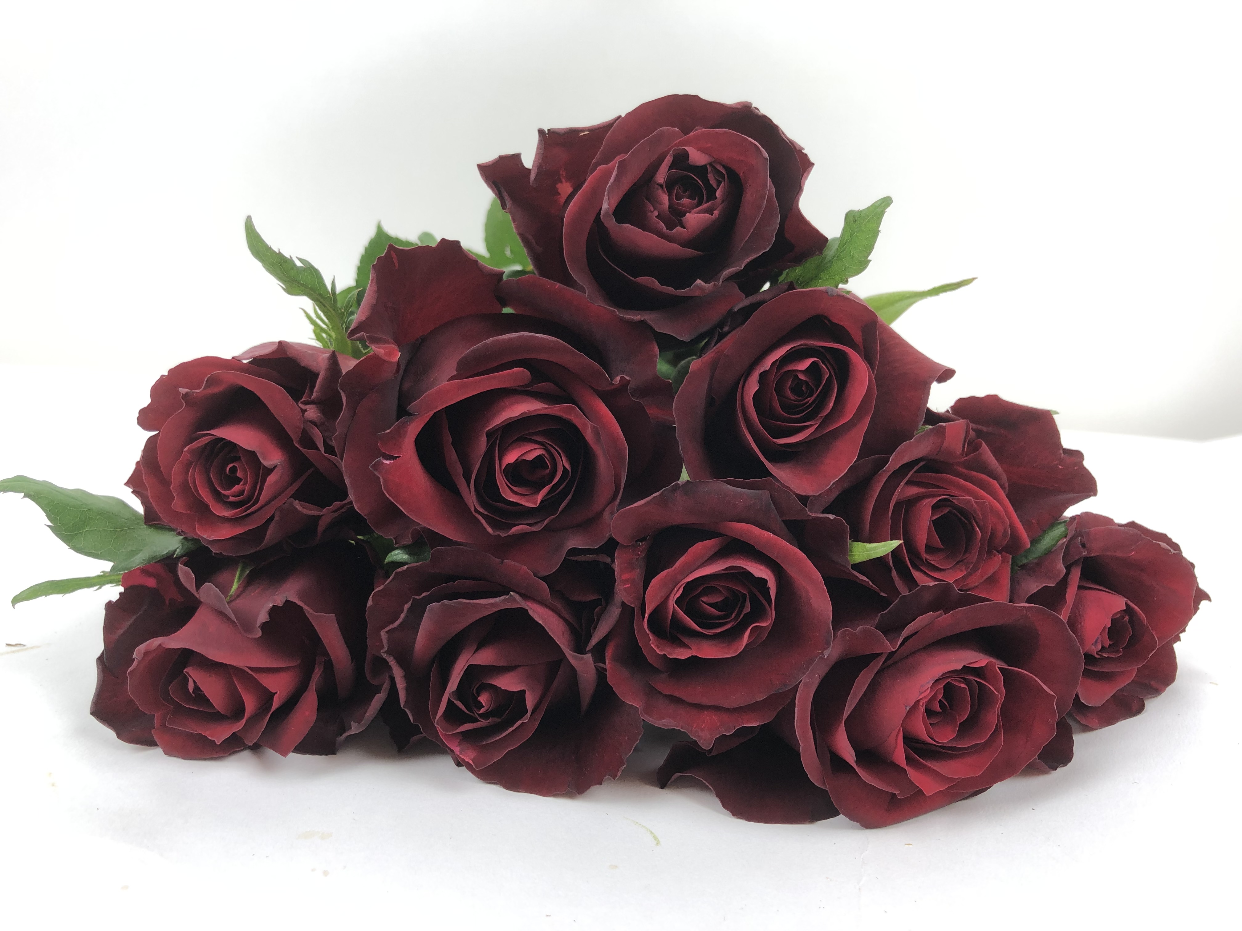 Bild på Ever Red Florist Selection Porini