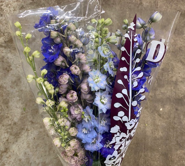 Bild på Delphinium Hybrid