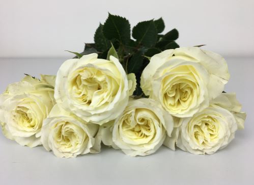 Bild på Mayra´s White Florist Selection