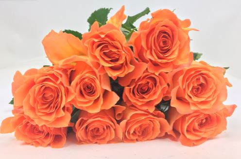 Bild på Kingsday Florist Selection