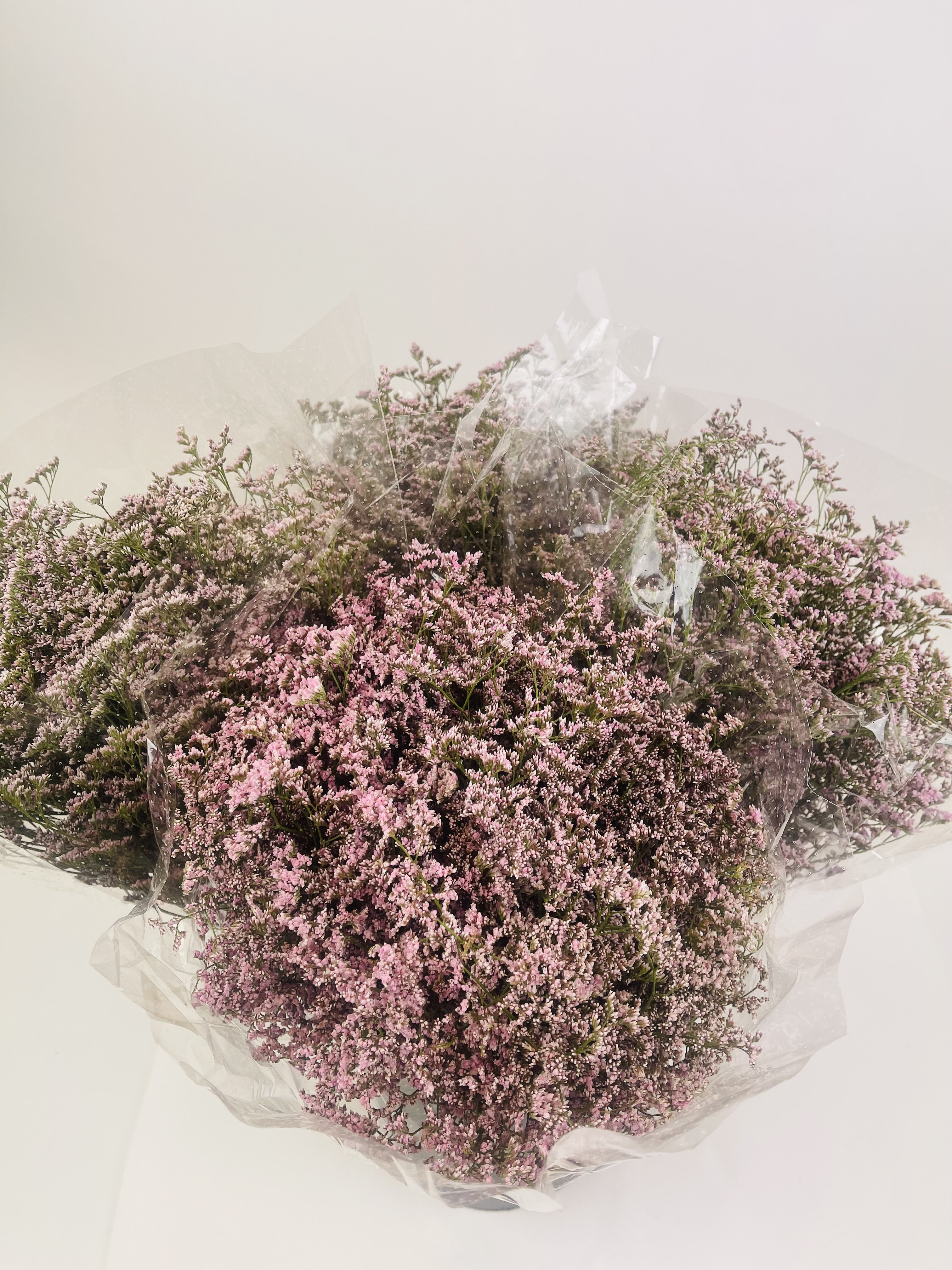 Bild på Limonium Oshi pink