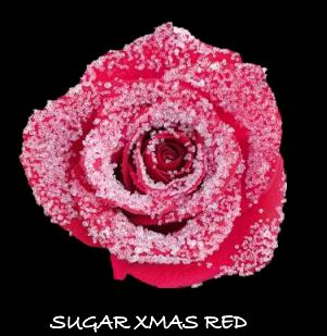 Bild på Suger Xmas Red Ecu