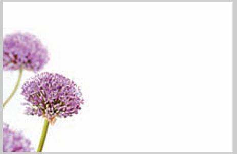 Bild på Blomsterkort Med Lila Allium 50/Fpn