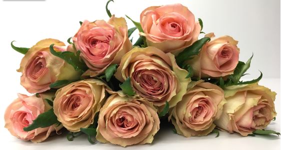 Bild på Sweet Elegance Florist Selection