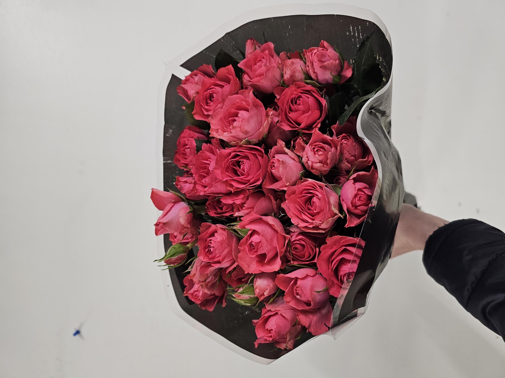 Bild på Kvistrosor Alicia Bella Linda