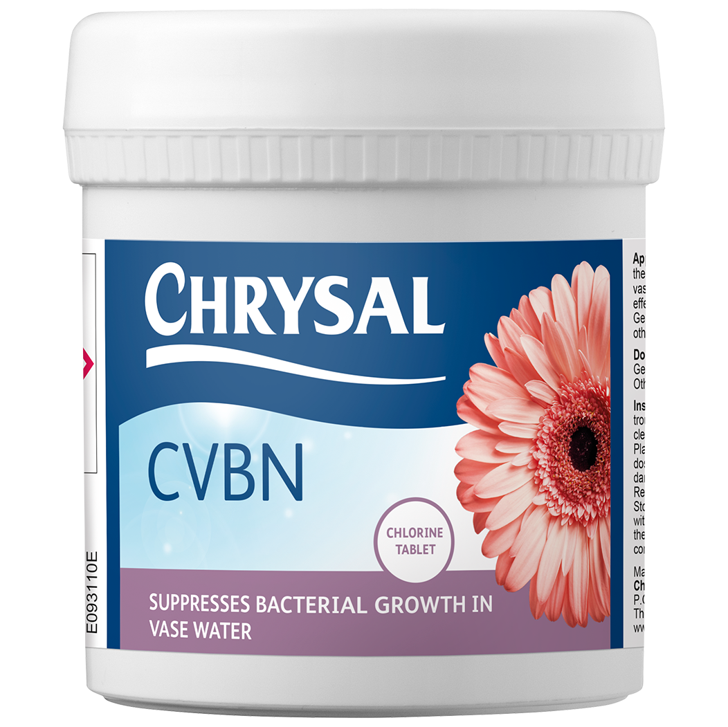 Bild på Chrysal CVBN jar 10*800pc EN