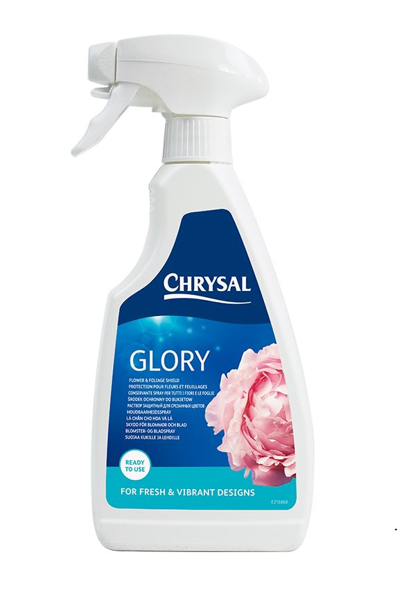 Bild på Chrysal Professional Glory 500 Ml x 1