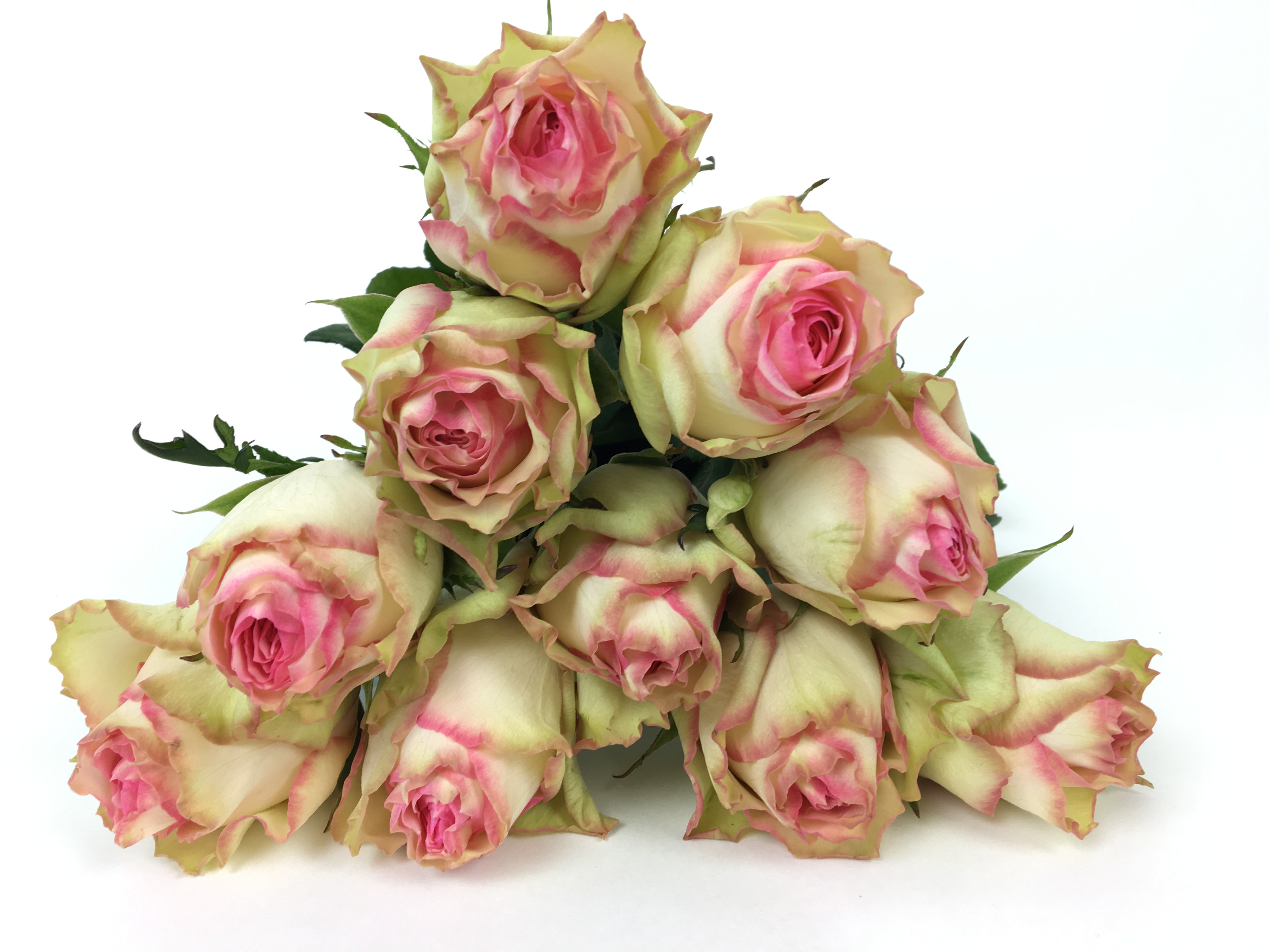 Bild på Esperance Florist Selection