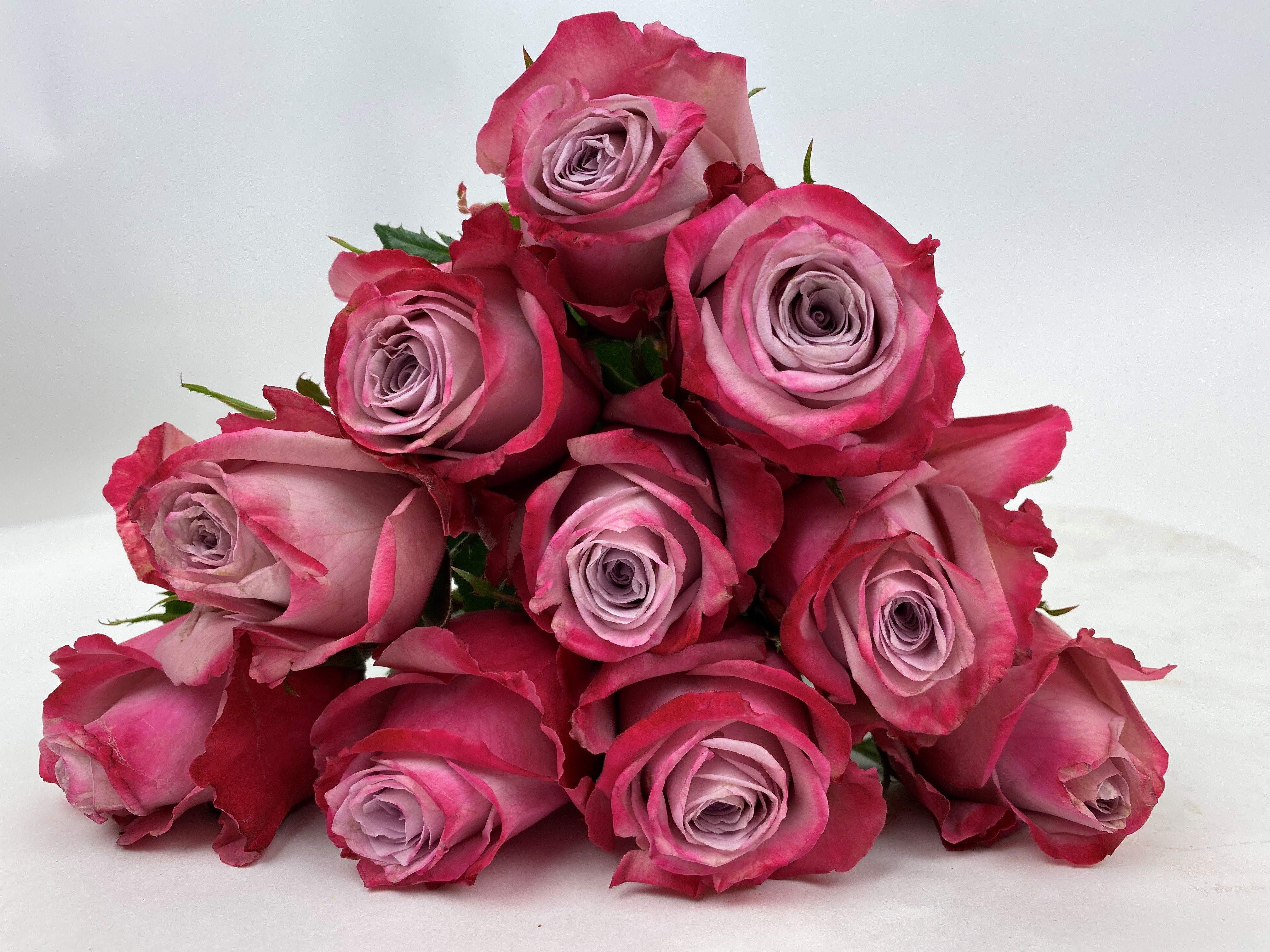 Bild på Infused Pink Florist Selection