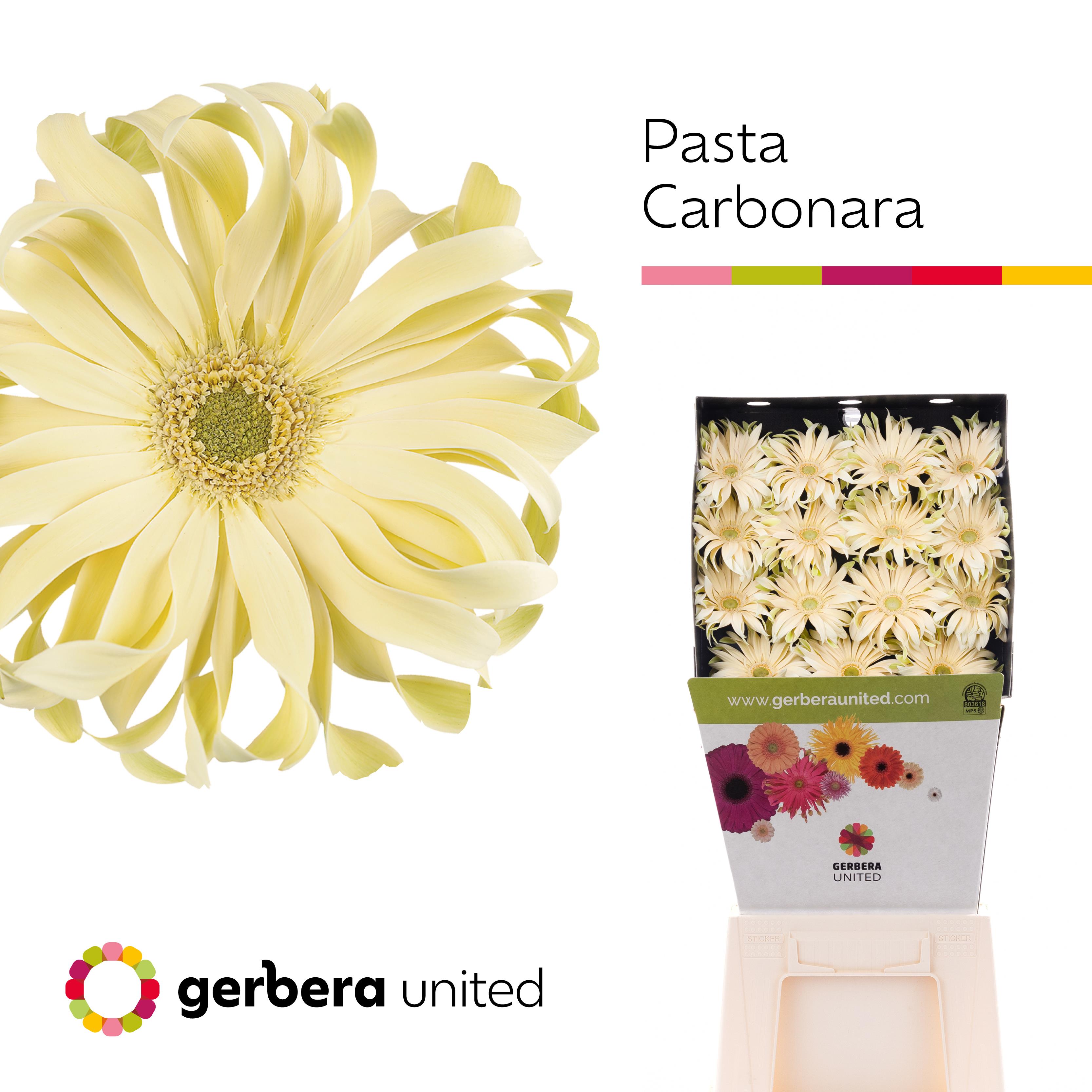 Bild på Gerbera Pasta Carbonara