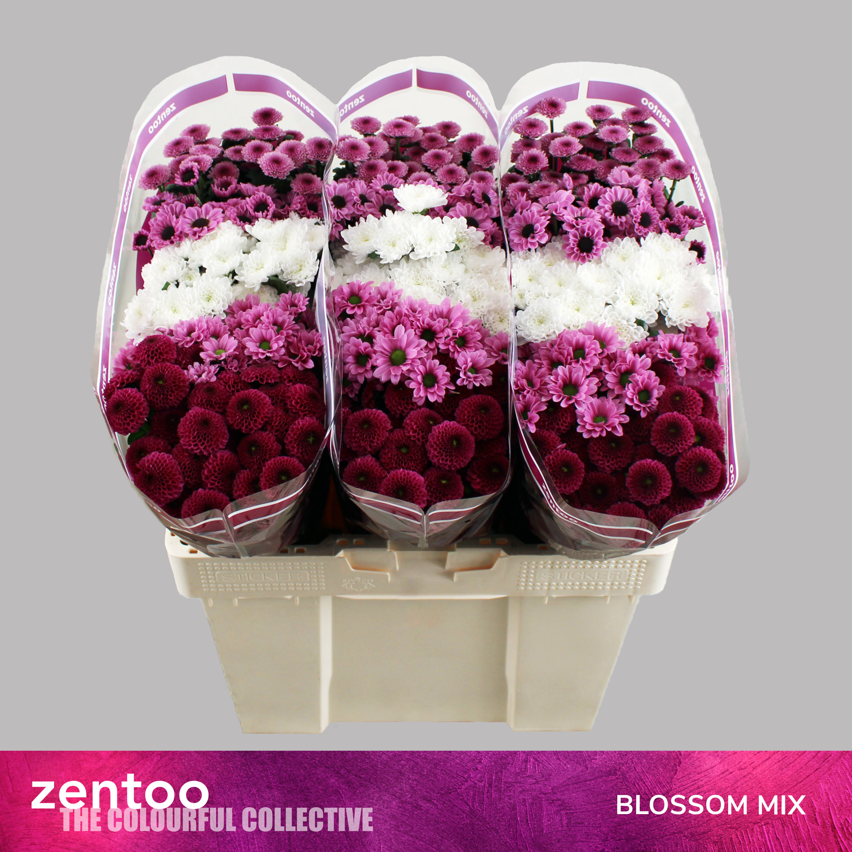 Bild på Chrys. Santini Blossom mix