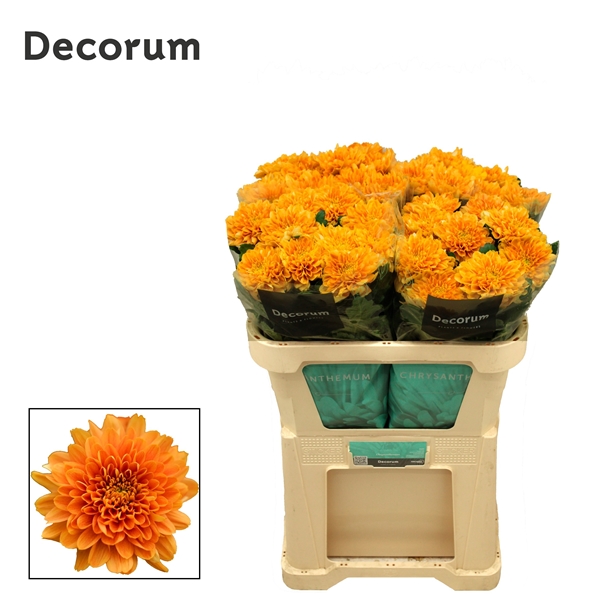 Bild på Chrys. Deco Kalimba Orange