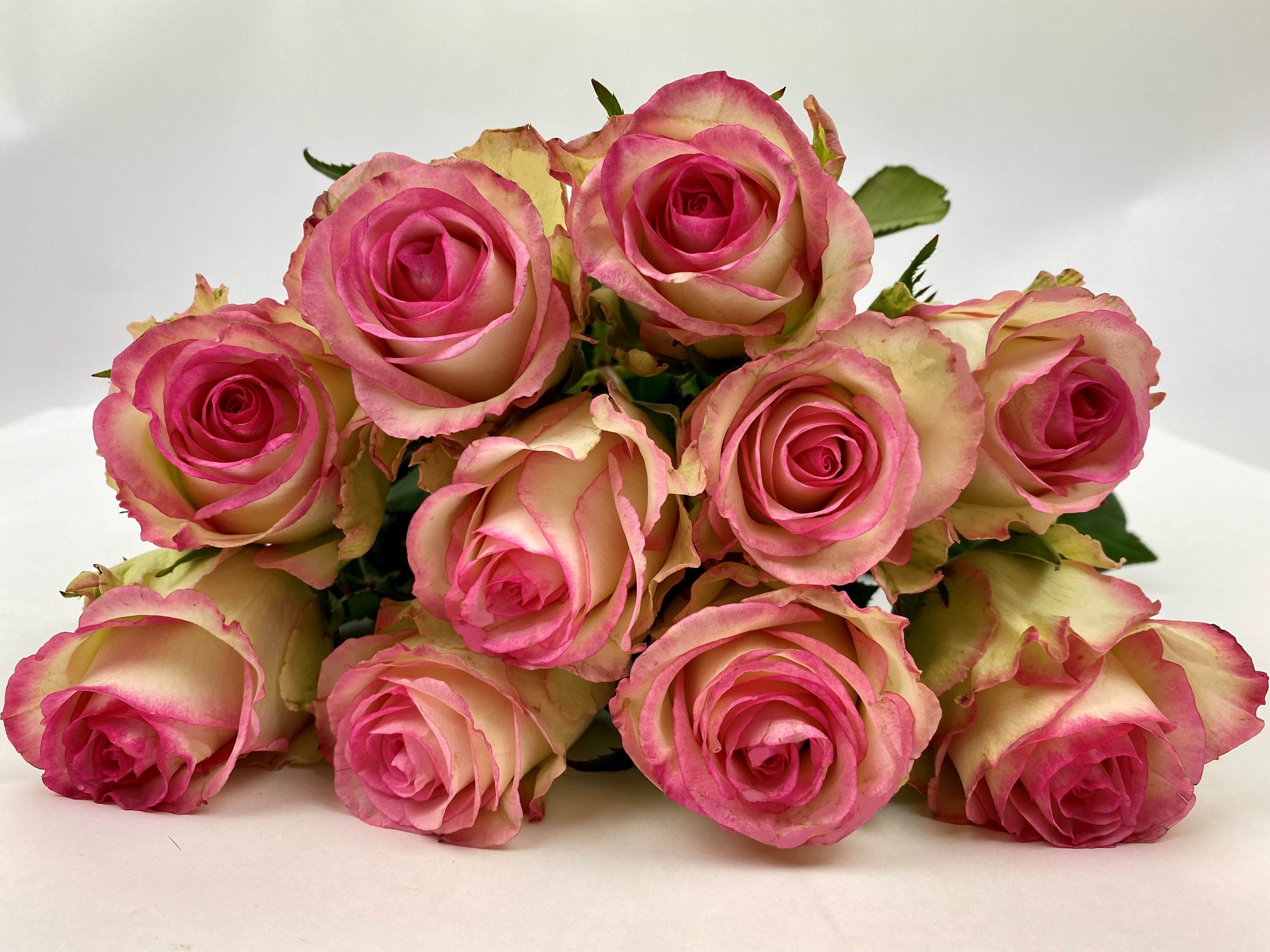 Bild på Pink Ice Florist Selection