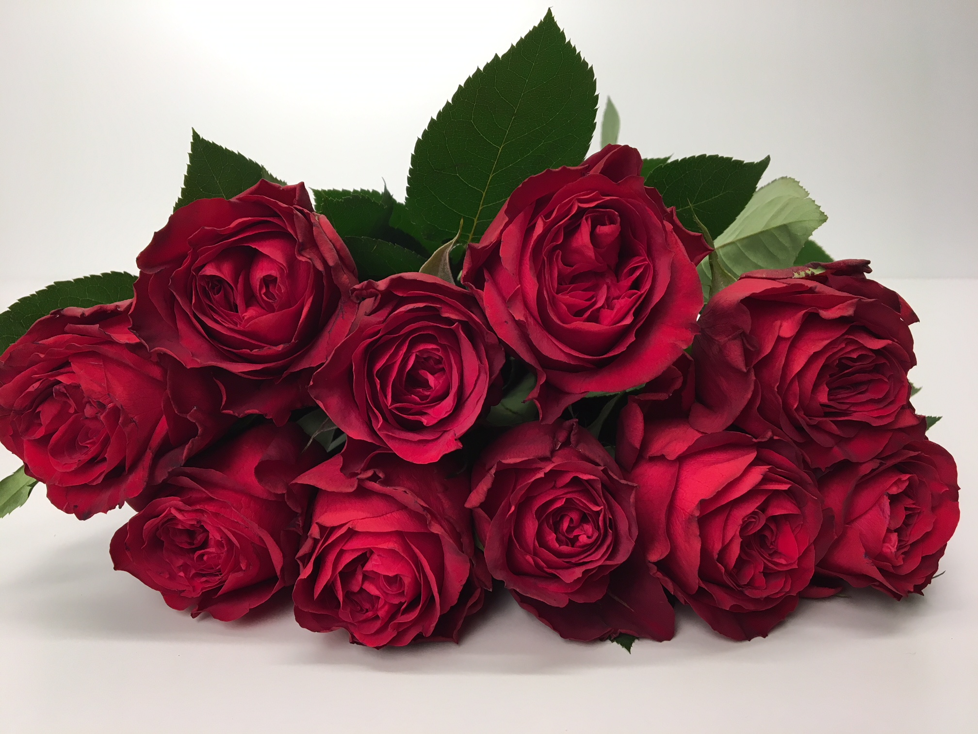 Bild på Red Elegance Florist Selection