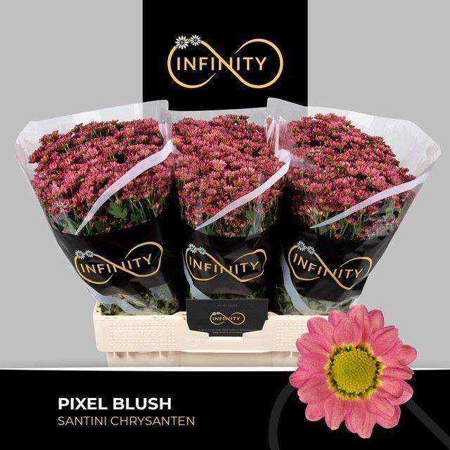 Bild på Chrys. Santini Pixel Blush