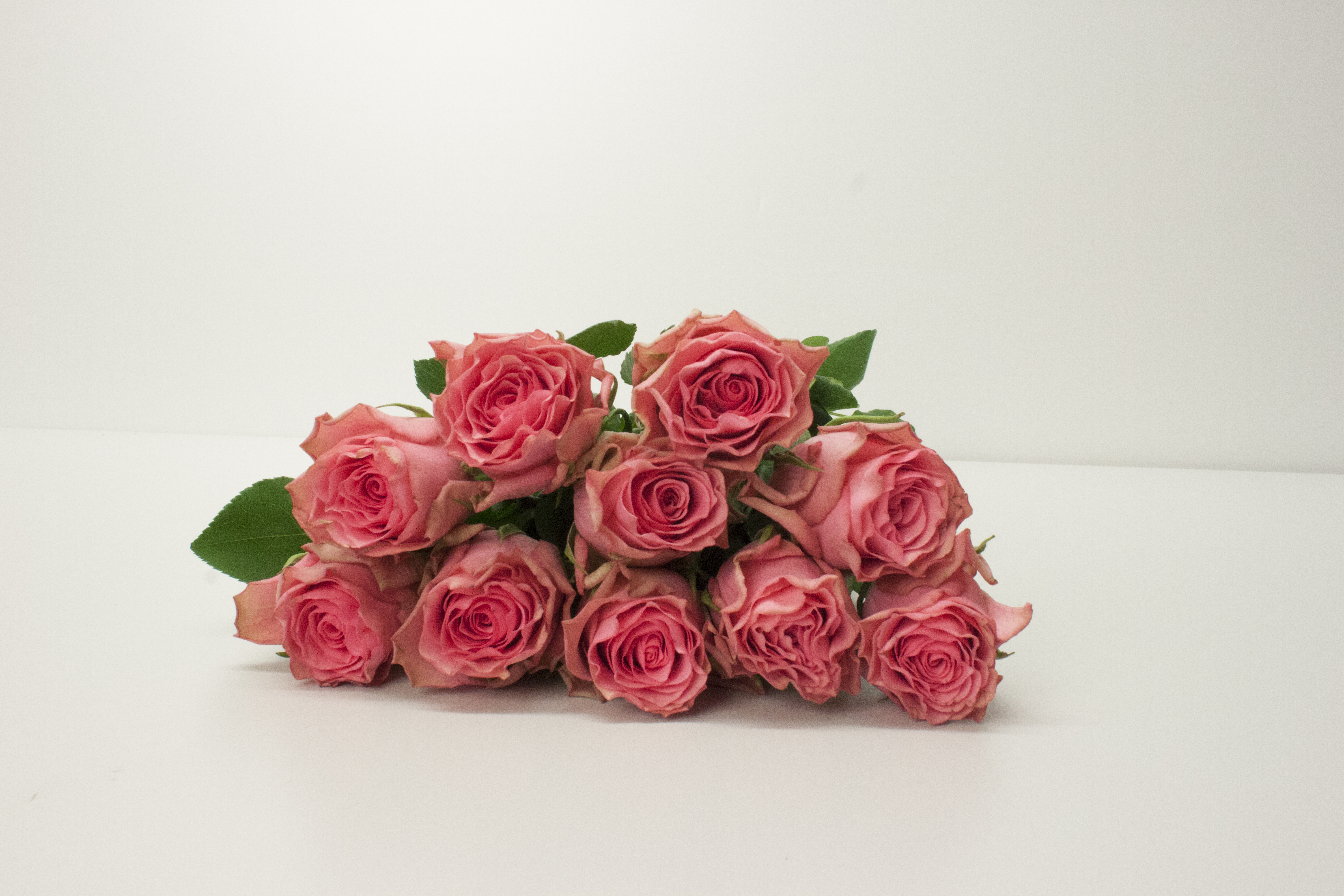 Bild på Lovely Rhodos Florist Selection
