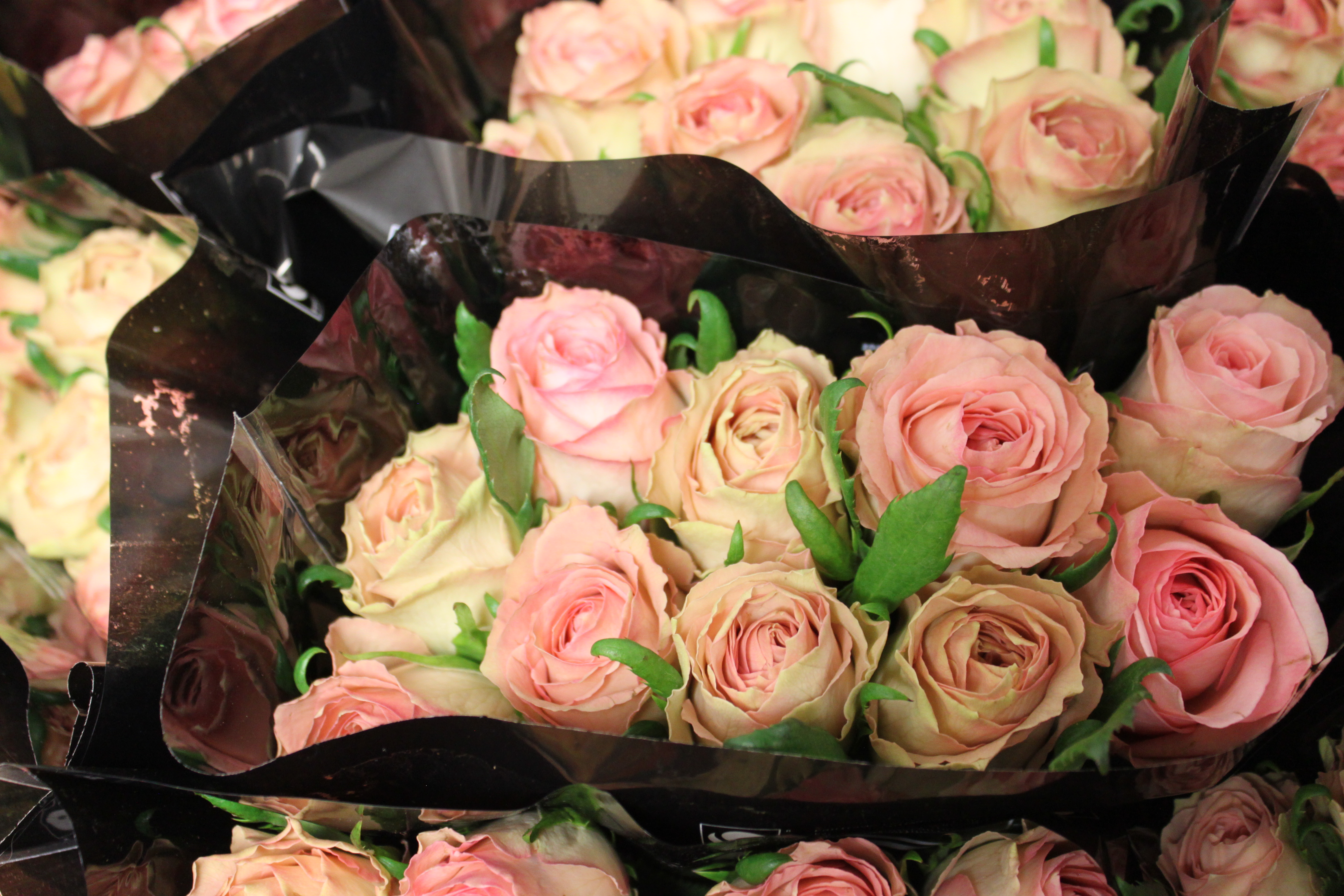 Bild på Sweet Elegance Florist Selection