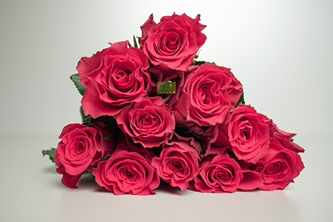 Bild på Pink Rhodos Florist Selection