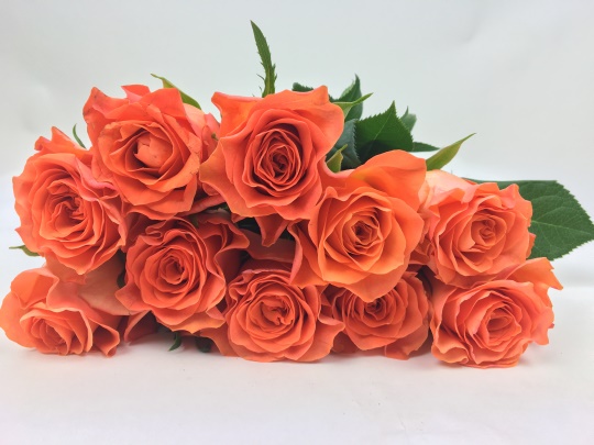 Bild på Orange Wave Florist Selection